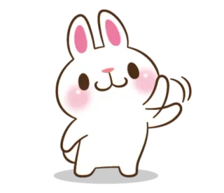 🤗 кролик, зайчик, милый, животное, мультфильм whatsapp sticker