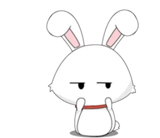 💫 兔子, 可爱, 动物, 兔, 卡通, 白色, 贴纸 telegram sticker