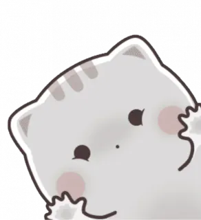 🥺 kat, dier, schattig, kawaii, sticker telegram sticker