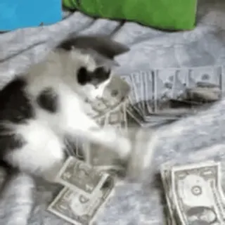 котичка топ :: @fStikBot telegram stickers