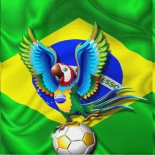 🇧🇷 ESSO brasil, bandera, fútbol, loro, animal, pájaro telegram sticker