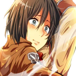 😢 Mikasa Ackerman Attack on Titan Anime, Huilend, Tranen, Verdrietig, Militair, Attack on Titan telegram sticker
