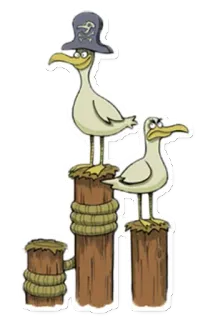 😶 gaivotas, pirata, pássaros, desenho animado telegram sticker