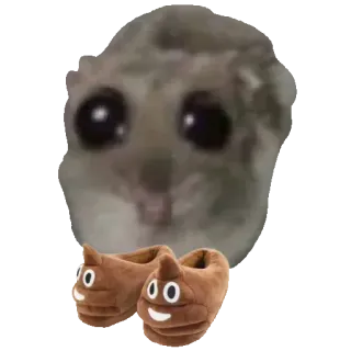 💩 tarsier tarsier, poop emoji, slippers, funny, memes, cute, surprised telegram sticker