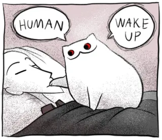 🐱 HUMAN
WAKE UP gato, humano, dormindo, acordar, desenho animado, fofo, animal telegram sticker