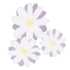 🌸