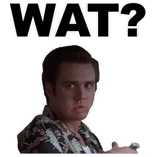 😮 Ace Ventura WAT? jim carrey, ¿qué?, confundido, expresión, gracioso, actor whatsapp sticker