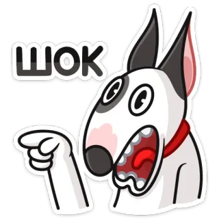 😳 ШОК chien, choc, bull terrier, pointe, drôle, dessin animé whatsapp sticker