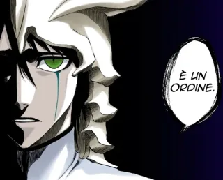 👉 Bleach È un ORDINE. Anime, Manga, Sztuka, Ilustracja whatsapp sticker