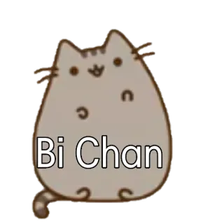 💬 Bi Chan gato, animal, lindo, dibujos animados whatsapp sticker