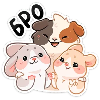 ✊ БРО cobaya, hámster, roedores, amigos, lindo, animales telegram sticker