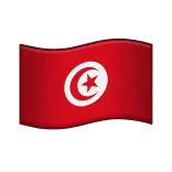 🇹🇳