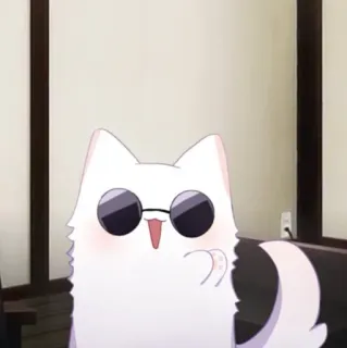 💮 cat, animal, sunglasses, white, cartoon telegram sticker