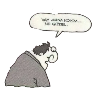 😔 VAY -MINA KOYİM... NE GÜZEL. 만화, 말풍선, 불쾌한, 터키어 telegram sticker