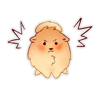 😡 โกรธ, ปอมเมอเรเนียน, หมา, น่ารัก, ปุย, การ์ตูน telegram sticker