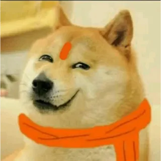 😁 doge, perro, meme, shiba inu, bufanda, naranja, meme de internet telegram sticker