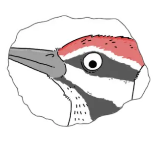 👁 pica-pau, pássaro, animal, natureza, aviário, ilustração, desenho animado telegram sticker