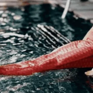 🔥 wasser, pool, rot, oberfläche, flüssigkeit telegram sticker