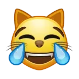 😹