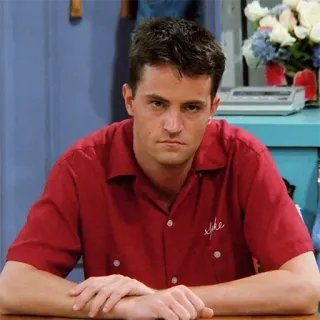 😐 Spike matthew perry, chandler bing, friends, acteur, série tv, sitcom, années 90 telegram sticker