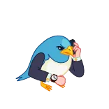 Birds telegram stickers