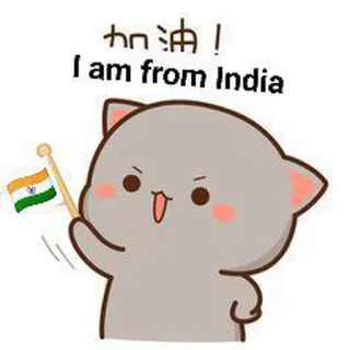 🇮🇳 加油！I am from India India, Indian flag, cartoon cat, support, flag, cheer whatsapp sticker