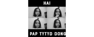 🔰 HAI
PAP TYTYD DONG telegram sticker