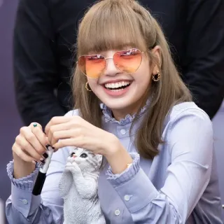 🐈 Lisa ลิซ่า, แบล็กพิงก์, เคป็อป, นักร้อง, คนดัง, แว่นตารูปหัวใจ, รูปปั้นแมว, ยิ้ม telegram sticker
