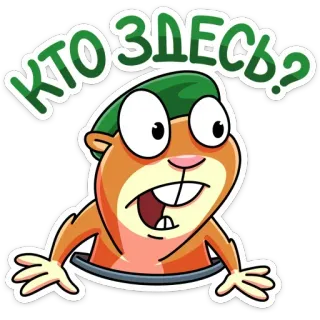 😳 КТО ЗДЕСЬ? marmotta, animale, cartone animato, domanda, curioso telegram sticker