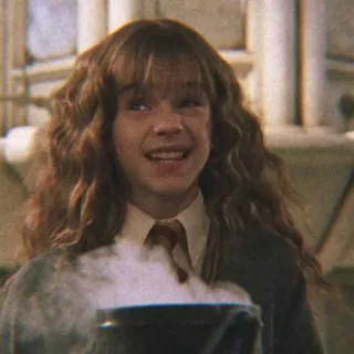 🐿 Hermione Granger Harry Potter hermijn, granger, harry potter, tovenaar, magie, ketel telegram sticker