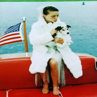 🐶 femme, chien, bateau, manteau de fourrure, drapeau américain, eau telegram sticker