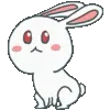 🐇