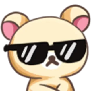 🐻 urso, óculos de sol, legal, animal, desenho animado, fofo telegram sticker