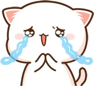😭 llorando, gato, kawaii, lindo, suplicante whatsapp sticker