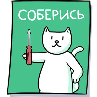 🪛 СОБЕРИСЬ cat, screwdriver, motivation, cartoon telegram sticker