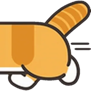 🐱