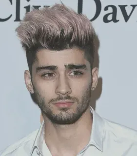 👑 Zayn Malik Sänger, Promi, Mann, Porträt, Person telegram sticker