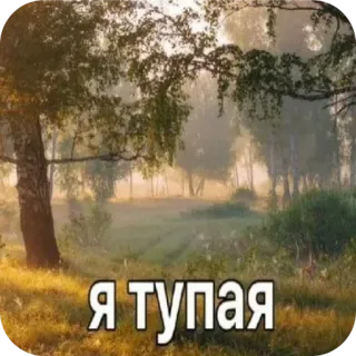Больше стиков тут: @stikery4 whatsapp stickers