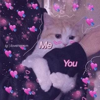 🍡 Me
You chat, amour, mignon, kawaii, animal, animal de compagnie, relation whatsapp sticker