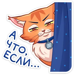 🤔 А ЧТО, ЕСЛИ... mèo, rèm cửa, cam, tự mãn, câu hỏi, biểu cảm, động vật telegram sticker