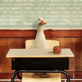 🦆 I will not quack in class duck, school, classroom, animal, bird, apple whatsapp sticker