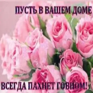 😘 ПУСТЬ В ВАШЕМ ДОМЕ
ВСЕГДА ПАХНЕТ ГОВНОМ! fiori, rose, russo, offensivo, insulto, saluto telegram sticker