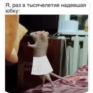 🫥 Я, раз в тысячелетие надевшая юбку: telegram sticker