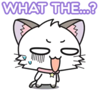 😱 WHAT THE...? cat, sticker, cartoon, anime, expression, shocked whatsapp sticker