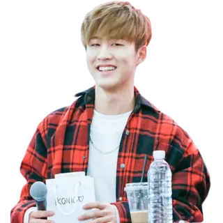 😁 iKONIC uomo, sorriso, persona, rosso, plaid, camicia, felice whatsapp sticker
