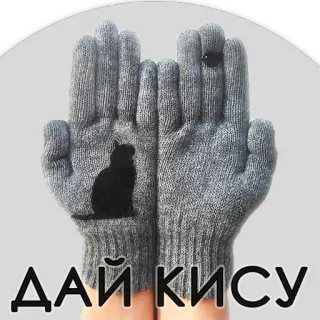 НА КИСУ whatsapp stickers