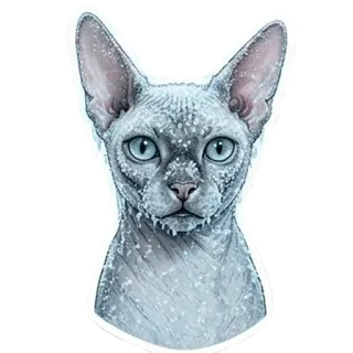 🥶 telegram sticker