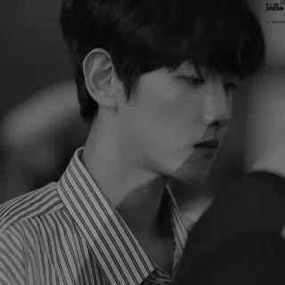 🖋 D-VS DREAM person, mann, kpop, traum, schwarz weiß, porträt, koreanisch telegram sticker