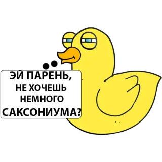 🤙 ЭЙ ПАРЕНЬ, НЕ ХОЧЕШЬ НЕМНОГО САКСОНИУМА? Ente, lustig, Cartoon, russisch, Frage whatsapp sticker