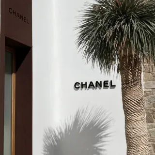 🌴 CHANEL Chanel, lusso, moda, marchio, logo, negozio telegram sticker